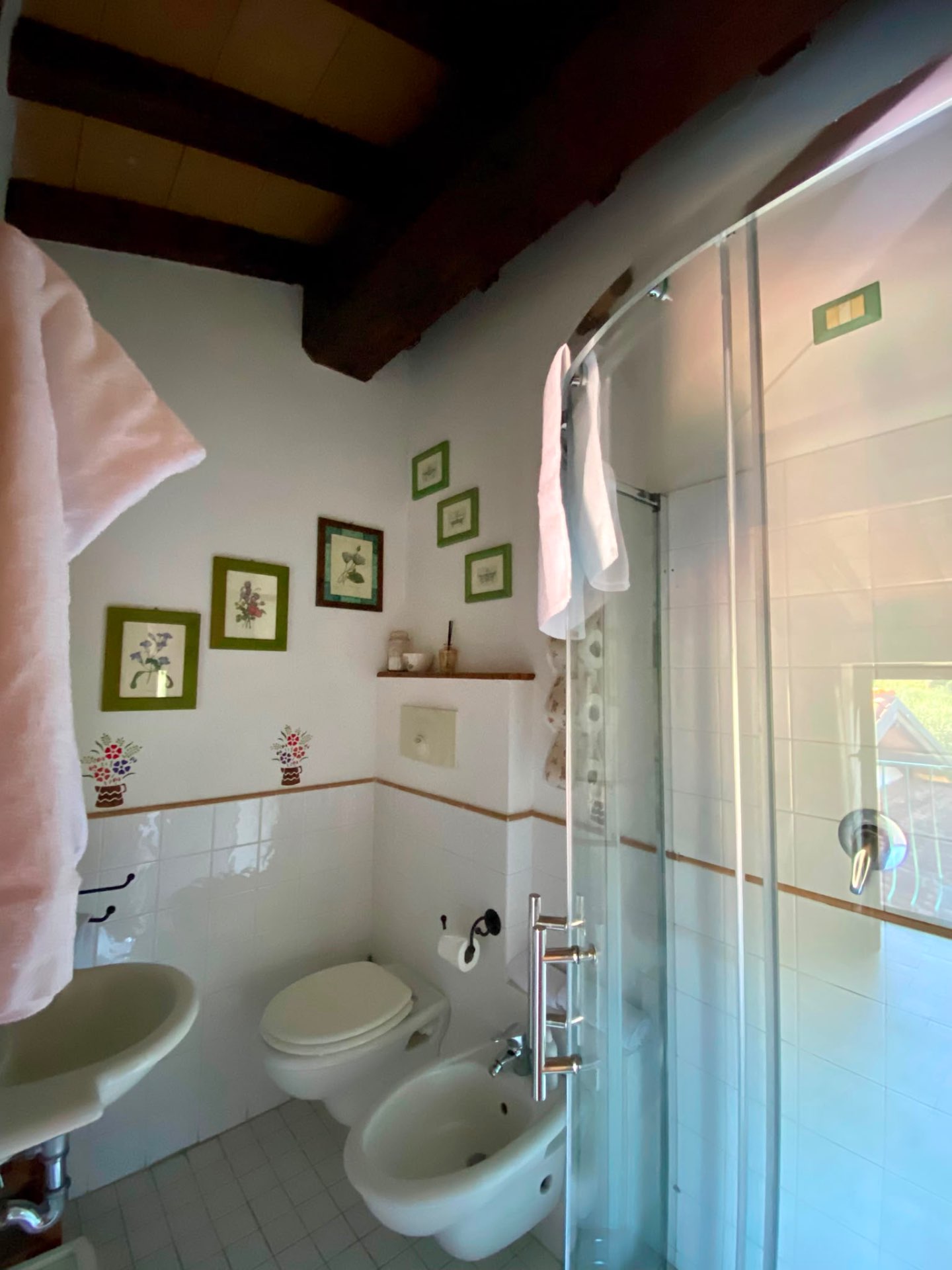 Bagno della Camera Edera con sanitari, quadri botanici e doccia con vetro